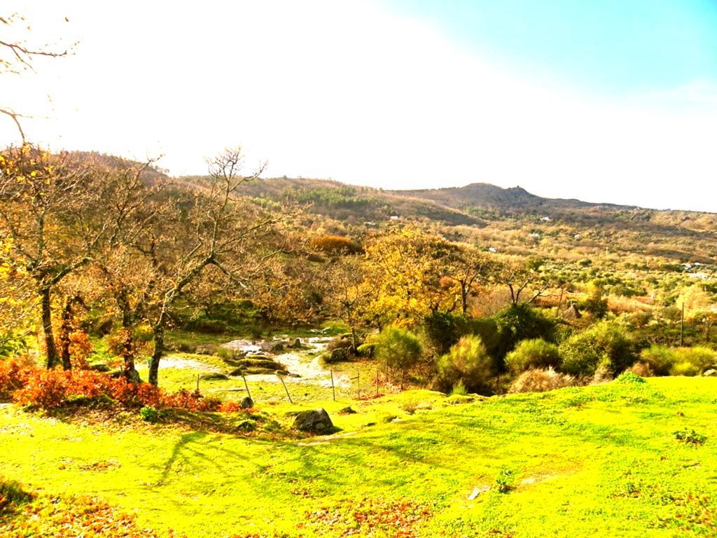 منزل الضيف Quinta Do Marvao الغرفة الصورة