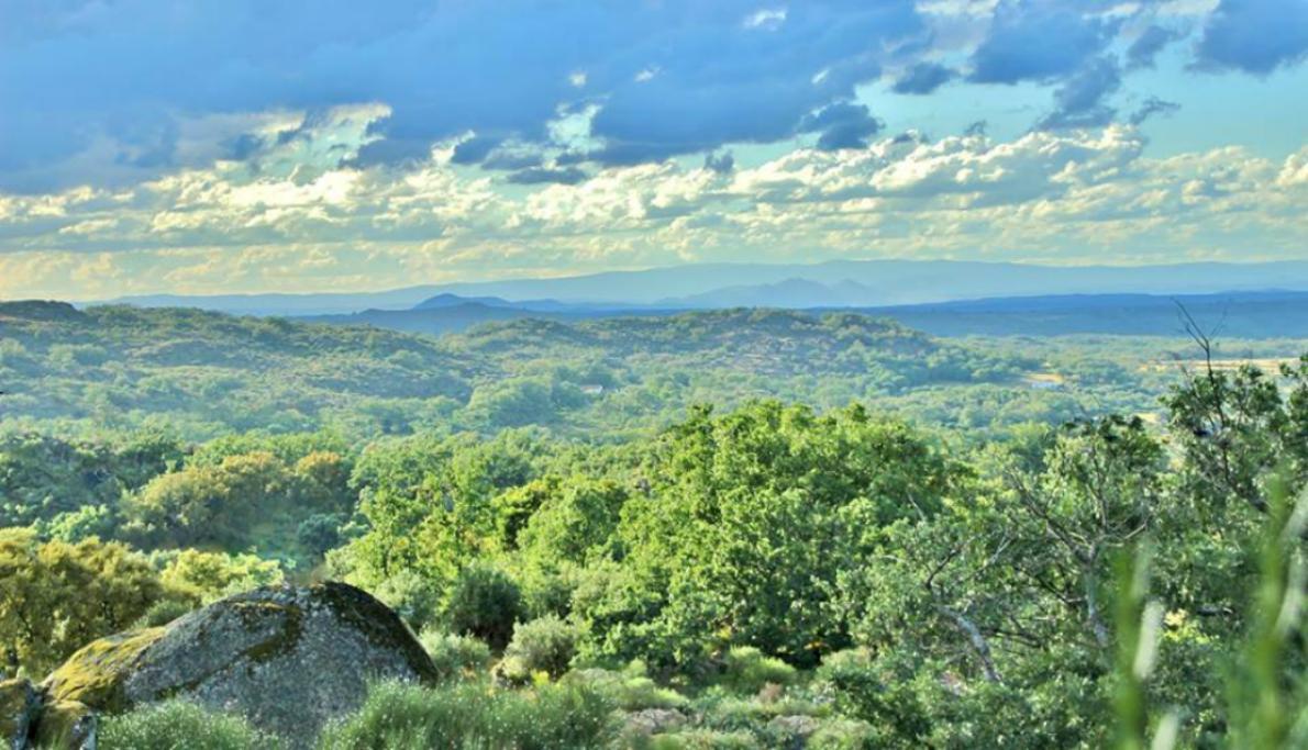 منزل الضيف Quinta Do Marvao المظهر الخارجي الصورة