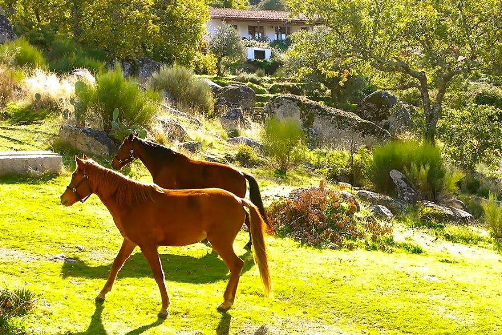 منزل الضيف Quinta Do Marvao المظهر الخارجي الصورة